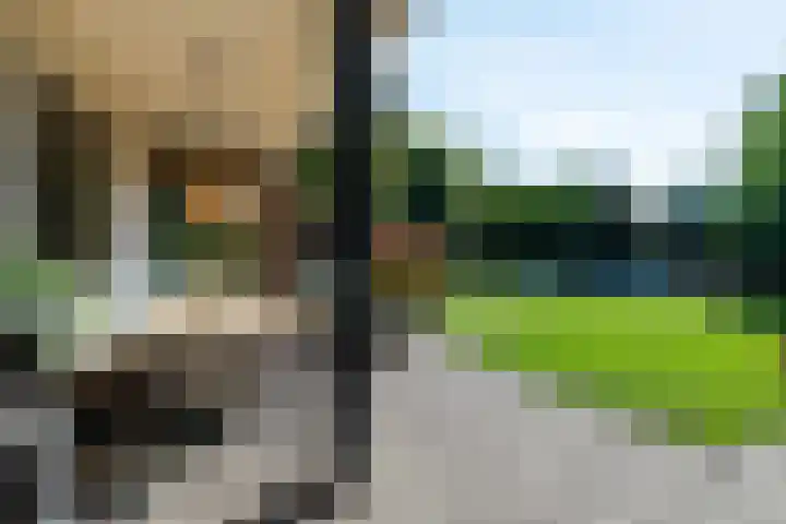 Smientdonk 3 Veghel thumbnail 71