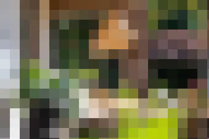 Smientdonk 3 Veghel thumbnail 72