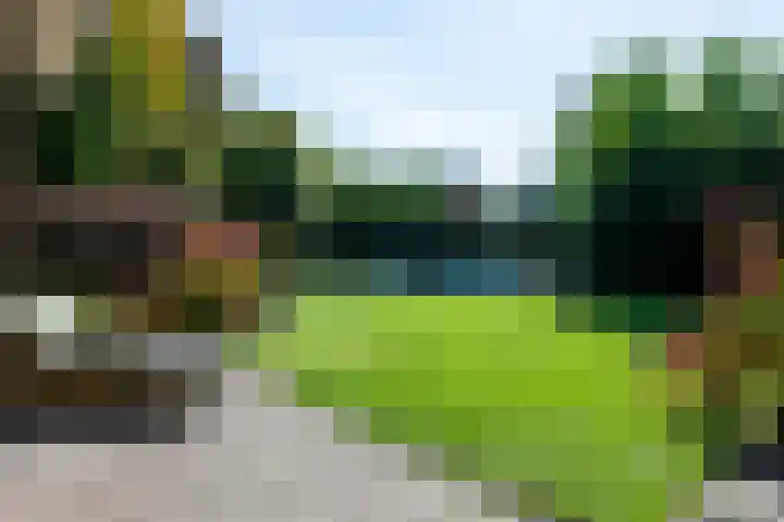 Smientdonk 3 Veghel thumbnail 74