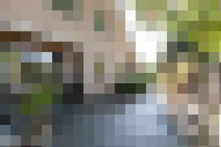 Smientdonk 3 Veghel thumbnail 75