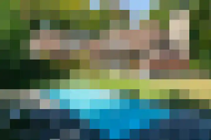 Smientdonk 3 Veghel thumbnail 76