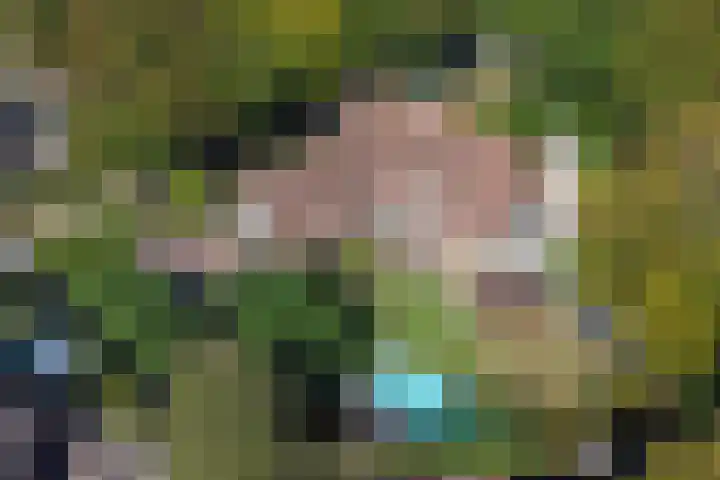 Smientdonk 3 Veghel thumbnail 77