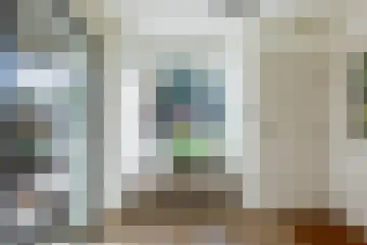 Smientdonk 3 Veghel thumbnail 8