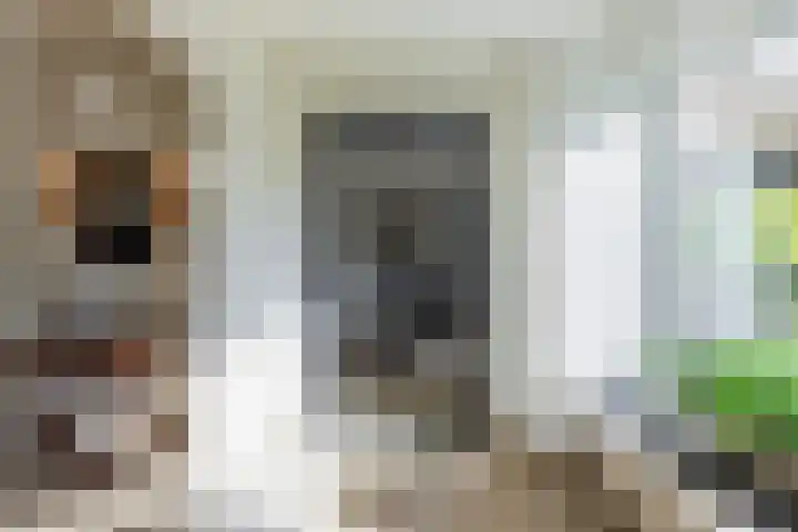 Smientdonk 3 Veghel thumbnail 9