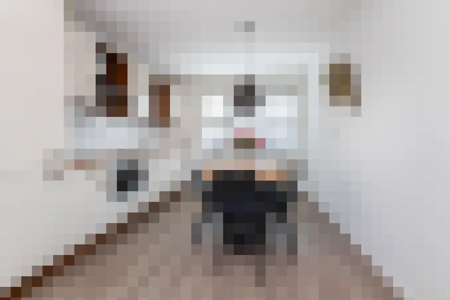 Smienthof 41 Zwolle thumbnail 6