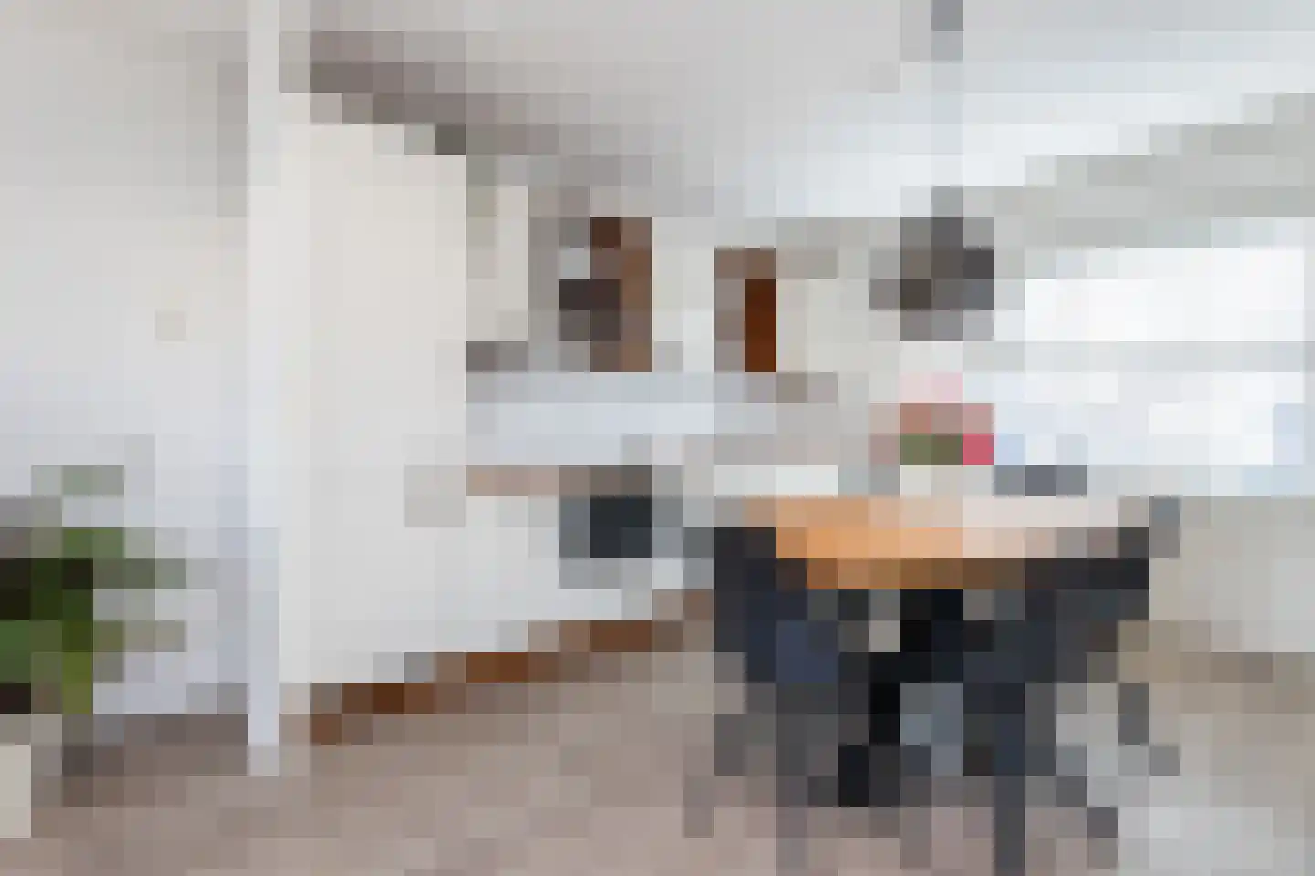 Smienthof 41 Zwolle thumbnail 7