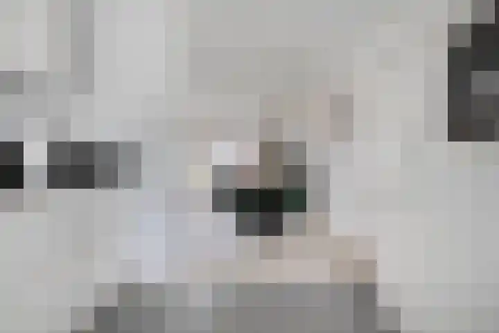 Smienthof 7 Zwolle thumbnail 11