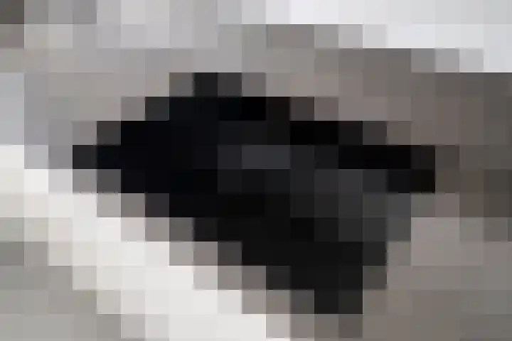 Smienthof 7 Zwolle thumbnail 13