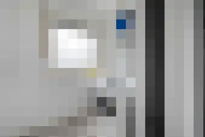 Smienthof 7 Zwolle thumbnail 14