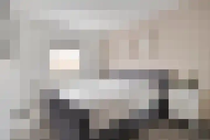 Smienthof 7 Zwolle thumbnail 17