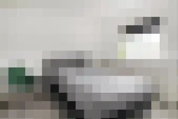 Smienthof 7 Zwolle thumbnail 27