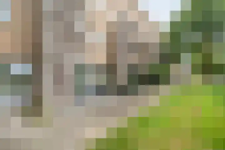 Smienthof 7 Zwolle thumbnail 36