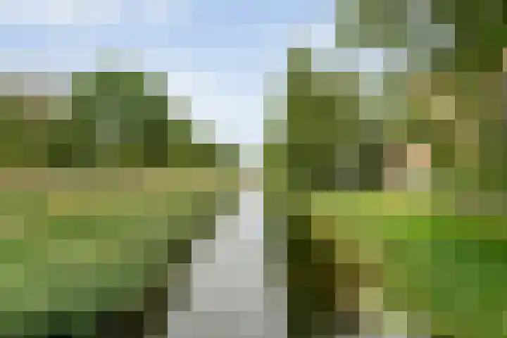 Smienthof 7 Zwolle thumbnail 38
