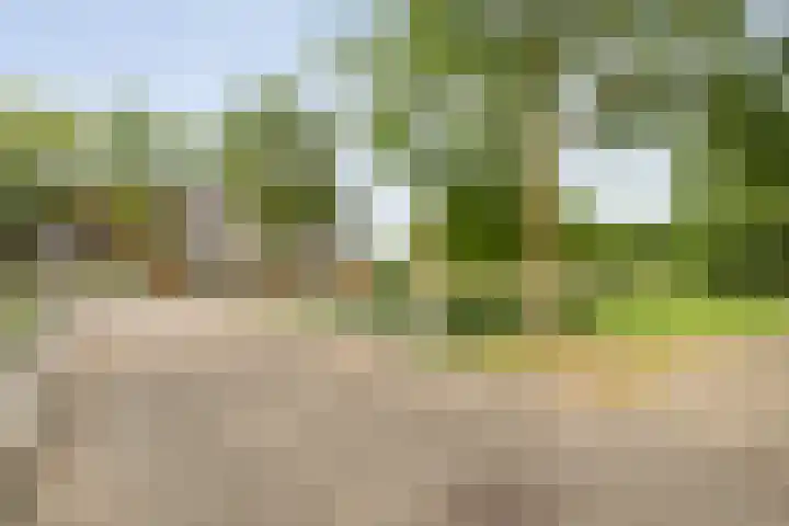 Smienthof 7 Zwolle thumbnail 39