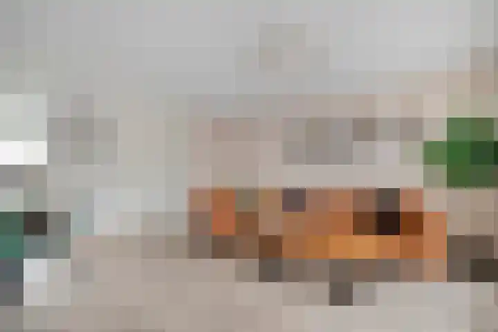 Smienthof 7 Zwolle thumbnail 6