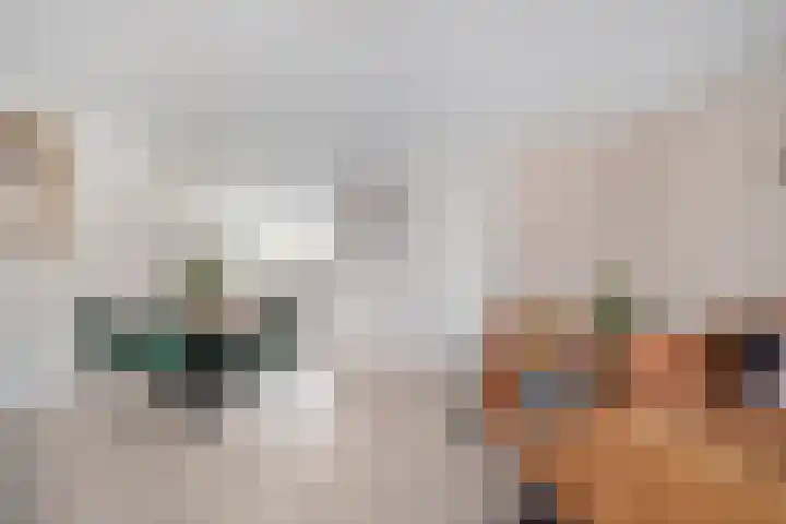 Smienthof 7 Zwolle thumbnail 7