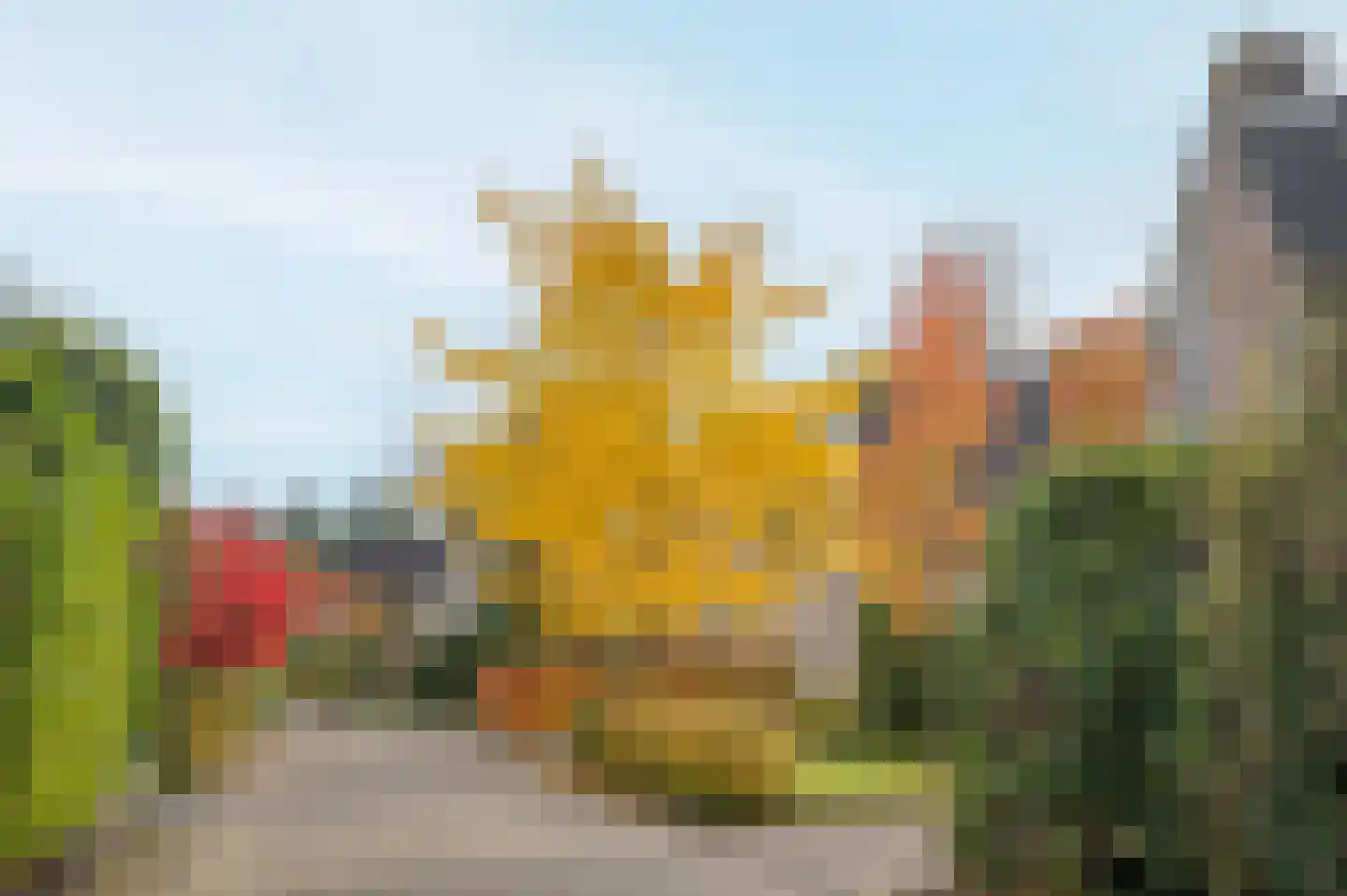 Smientmesschen 6 Assen thumbnail 11