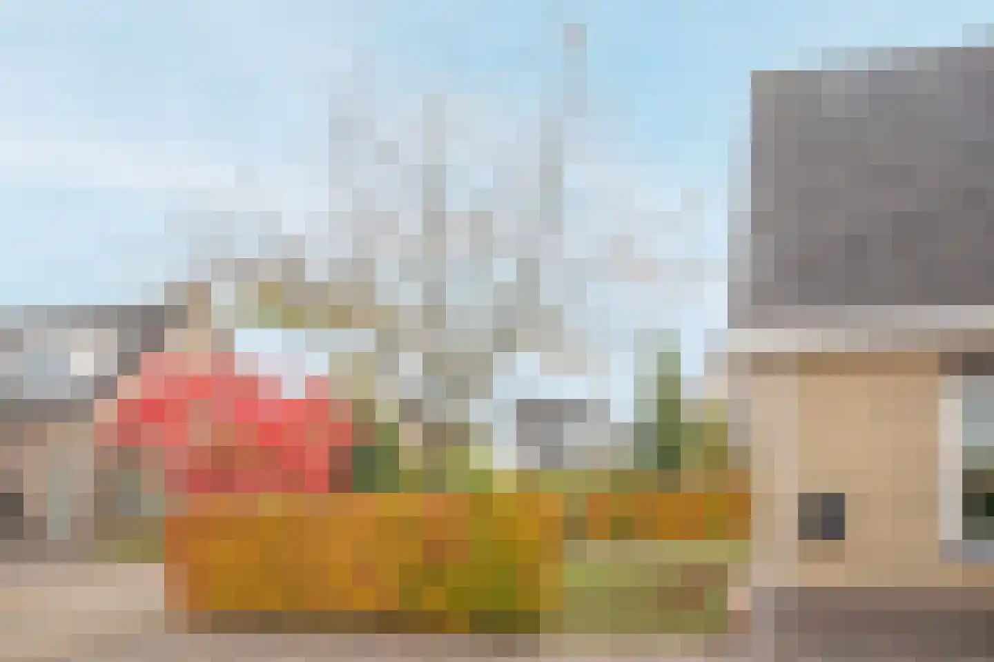 Smientmesschen 6 Assen thumbnail 12