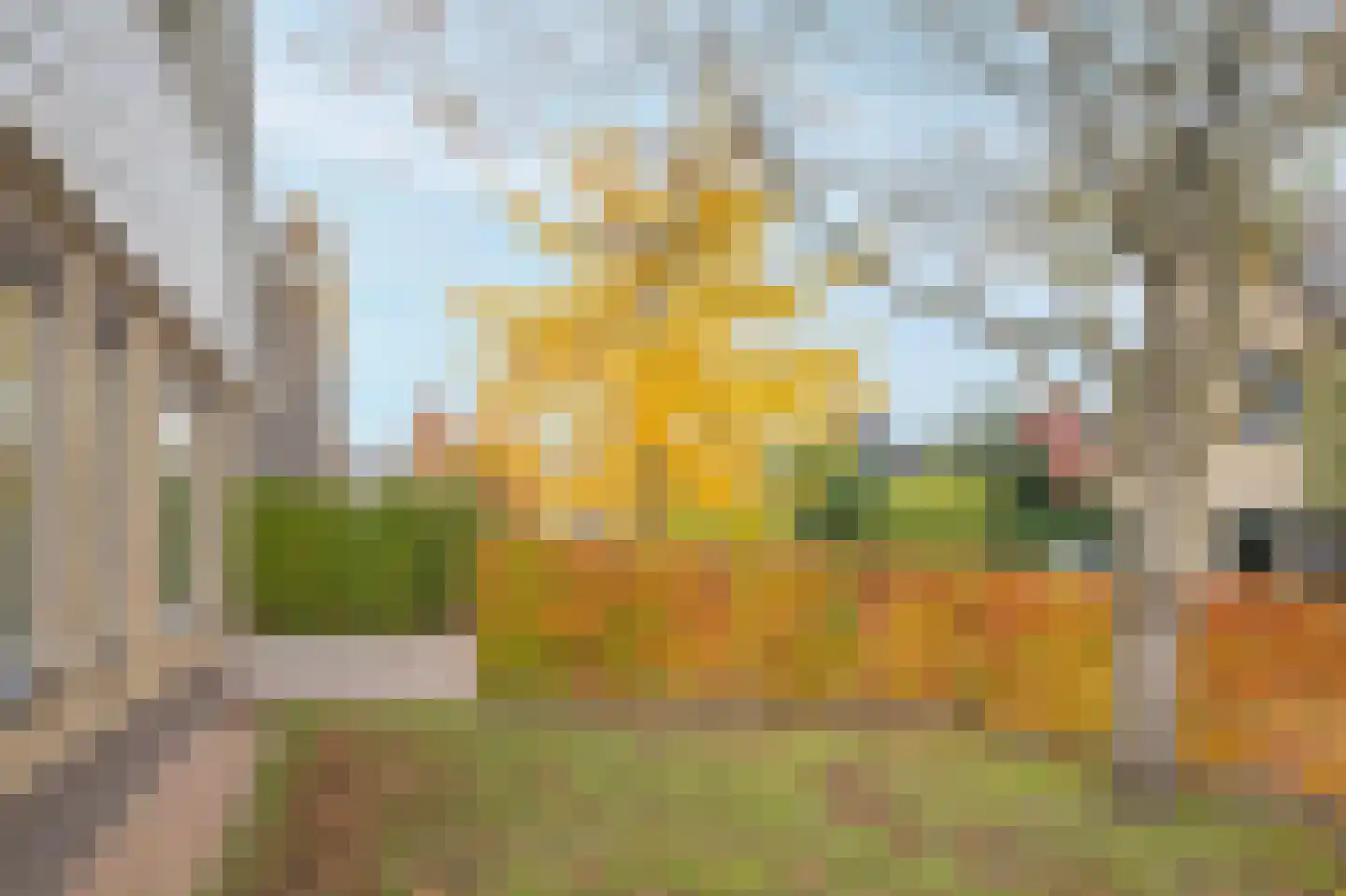 Smientmesschen 6 Assen thumbnail 13