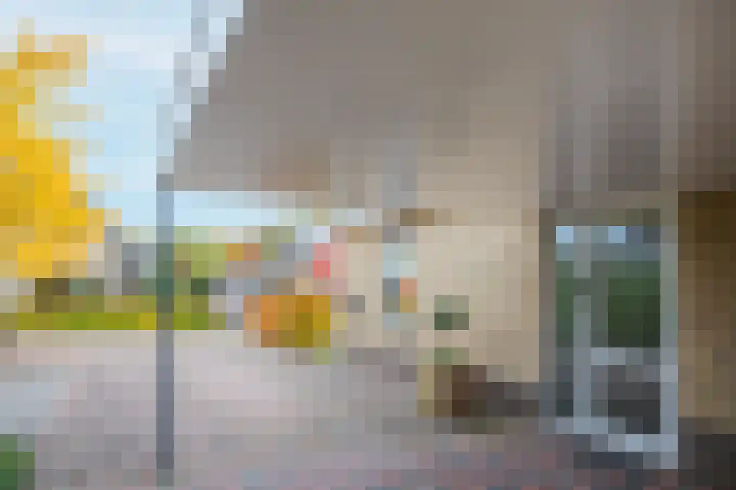 Smientmesschen 6 Assen thumbnail 15