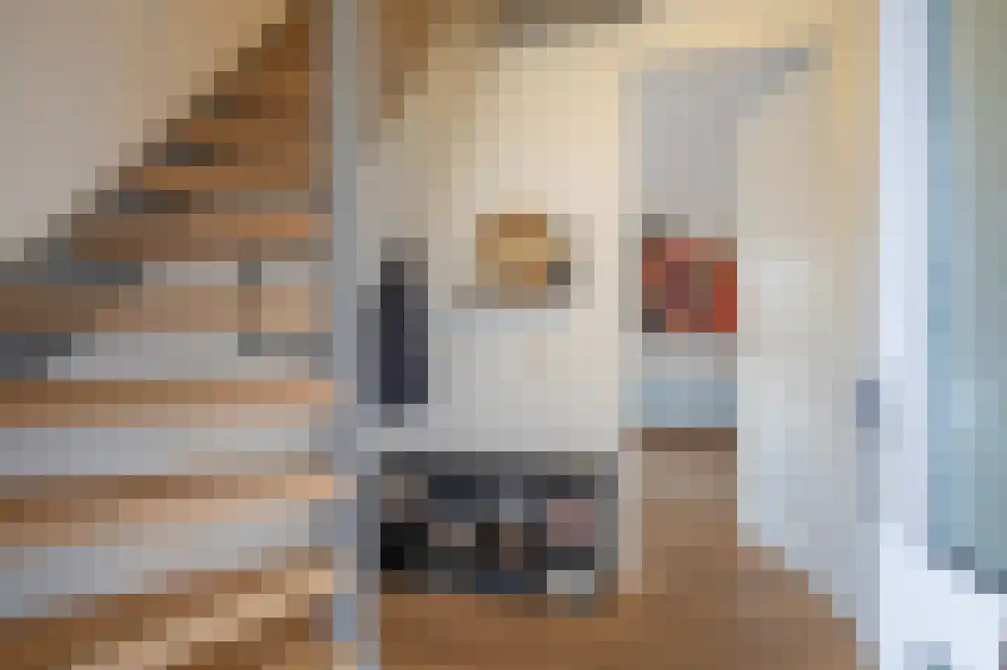 Smientmesschen 6 Assen thumbnail 16