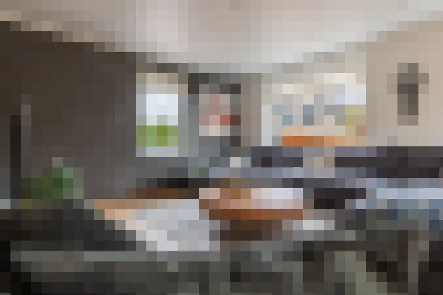 Smientmesschen 6 Assen thumbnail 19