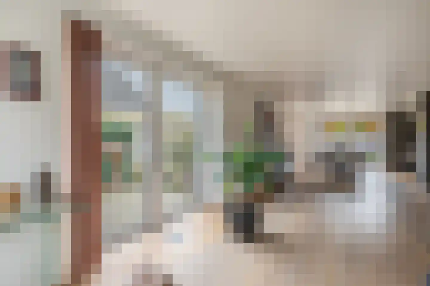 Smientmesschen 6 Assen thumbnail 21