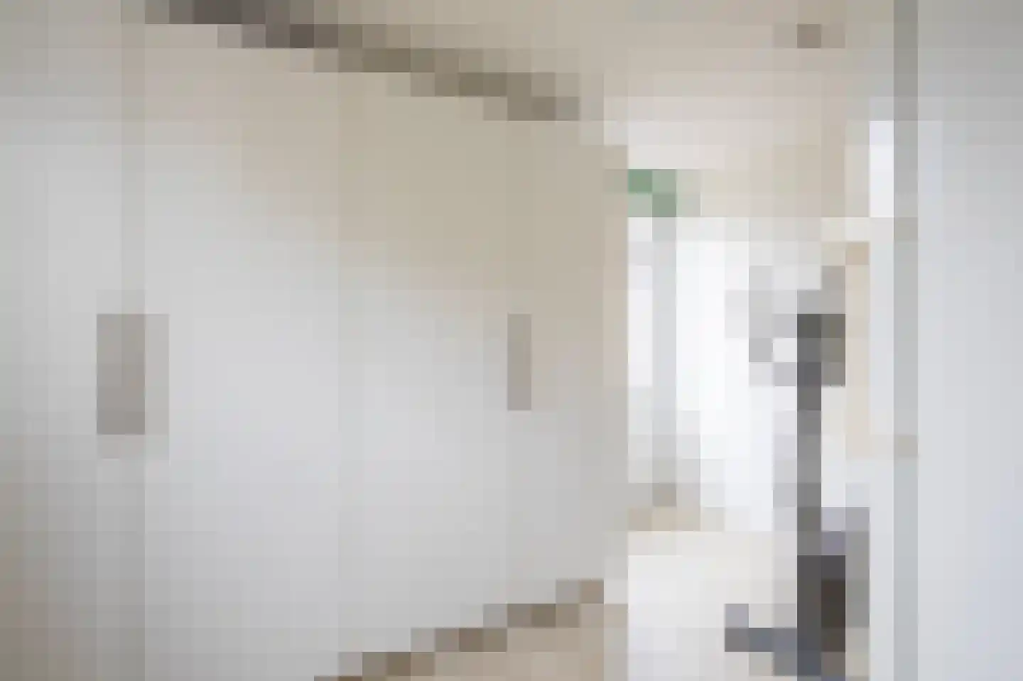 Smientmesschen 6 Assen thumbnail 30