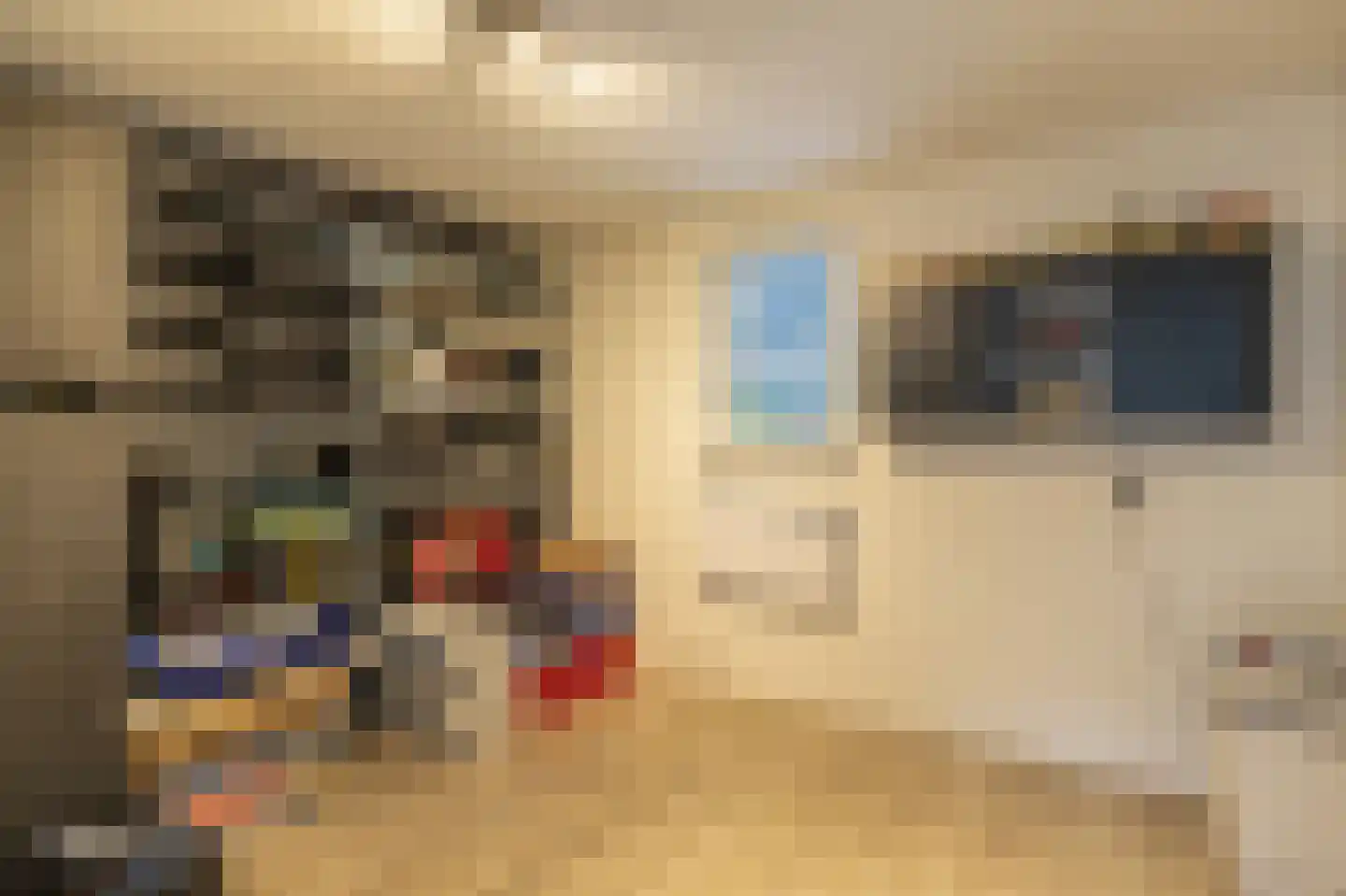 Smientmesschen 6 Assen thumbnail 32