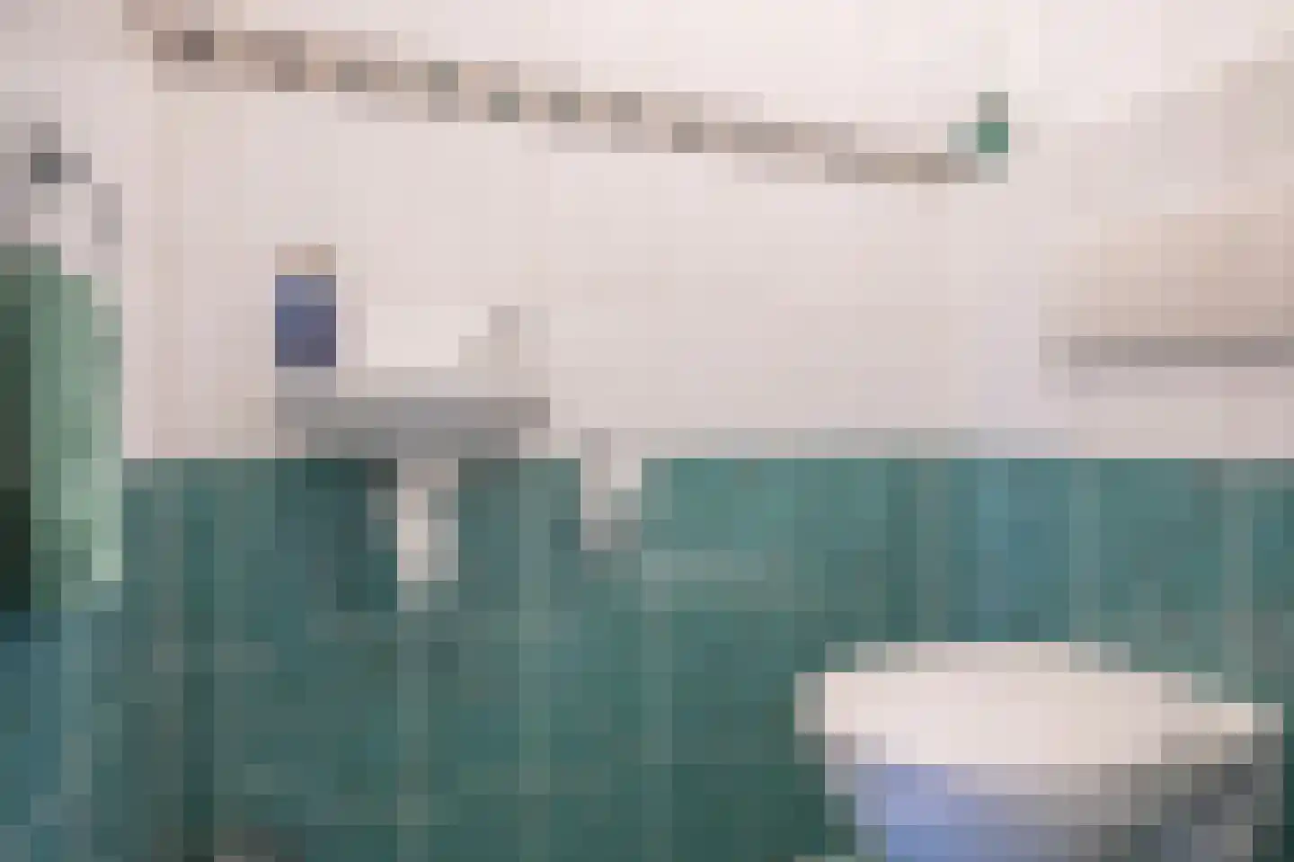 Smientmesschen 6 Assen thumbnail 35
