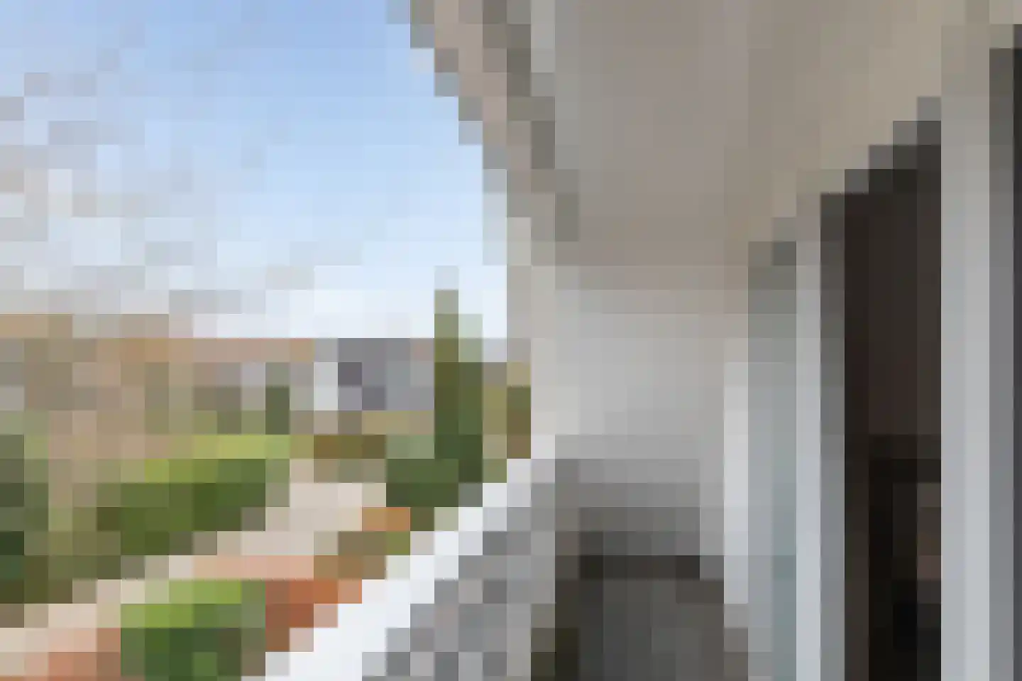 Smientmesschen 6 Assen thumbnail 38