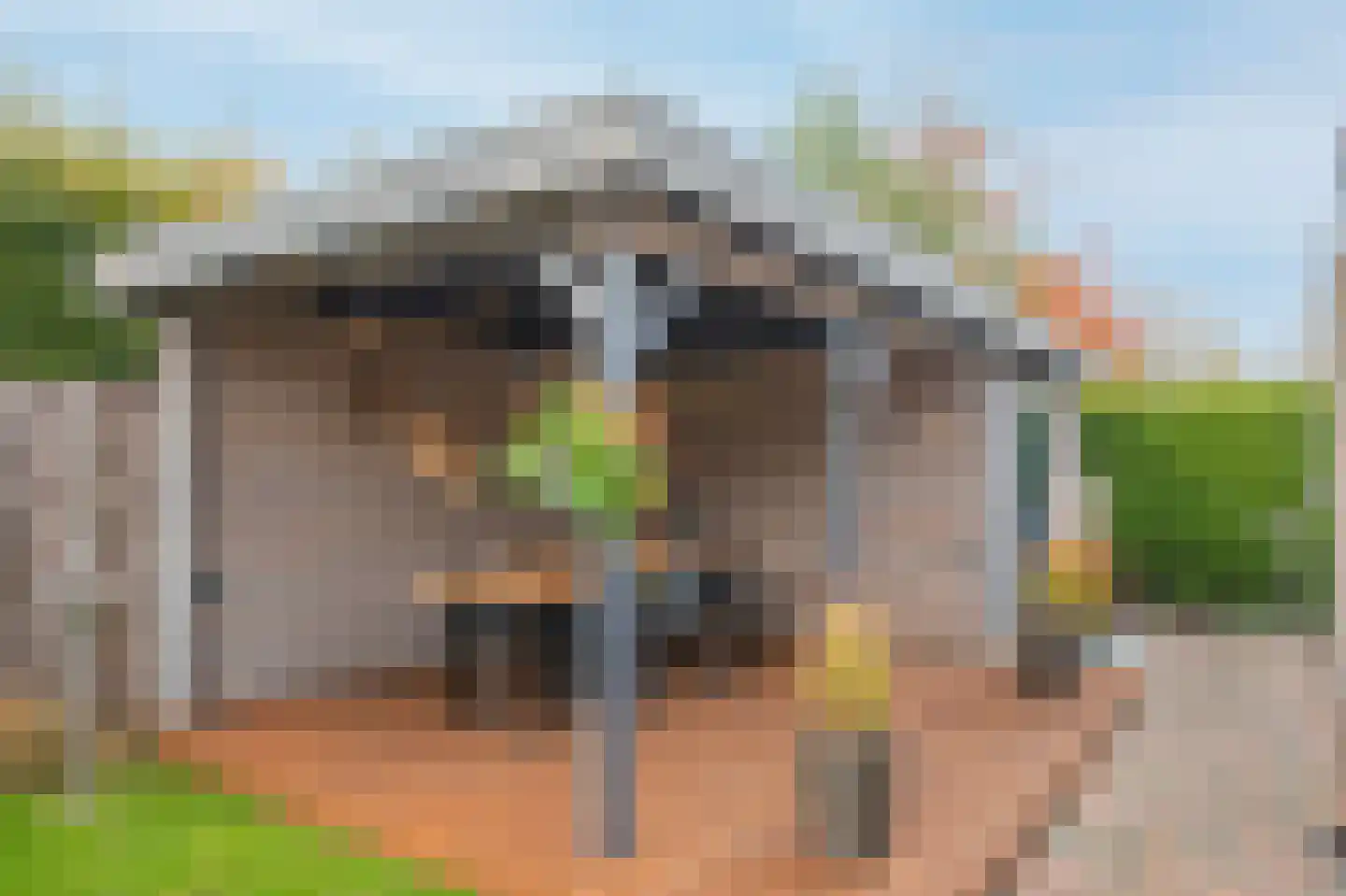 Smientmesschen 6 Assen thumbnail 4