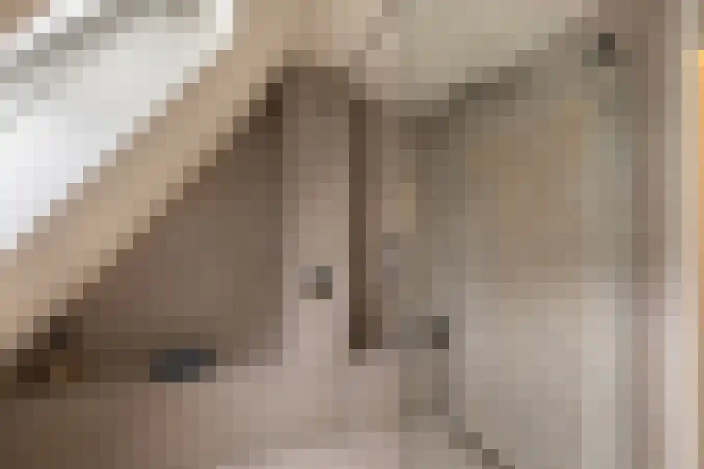 Smientmesschen 6 Assen thumbnail 41