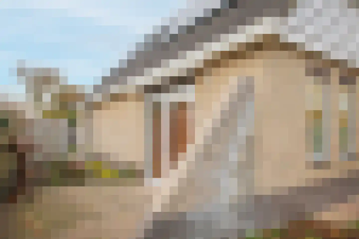 Smientmesschen 6 Assen thumbnail 44
