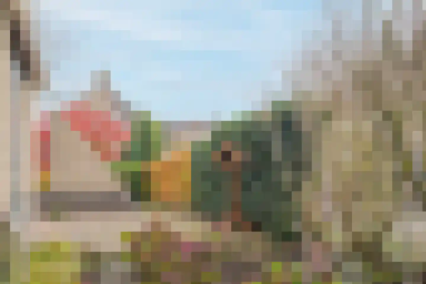 Smientmesschen 6 Assen thumbnail 45
