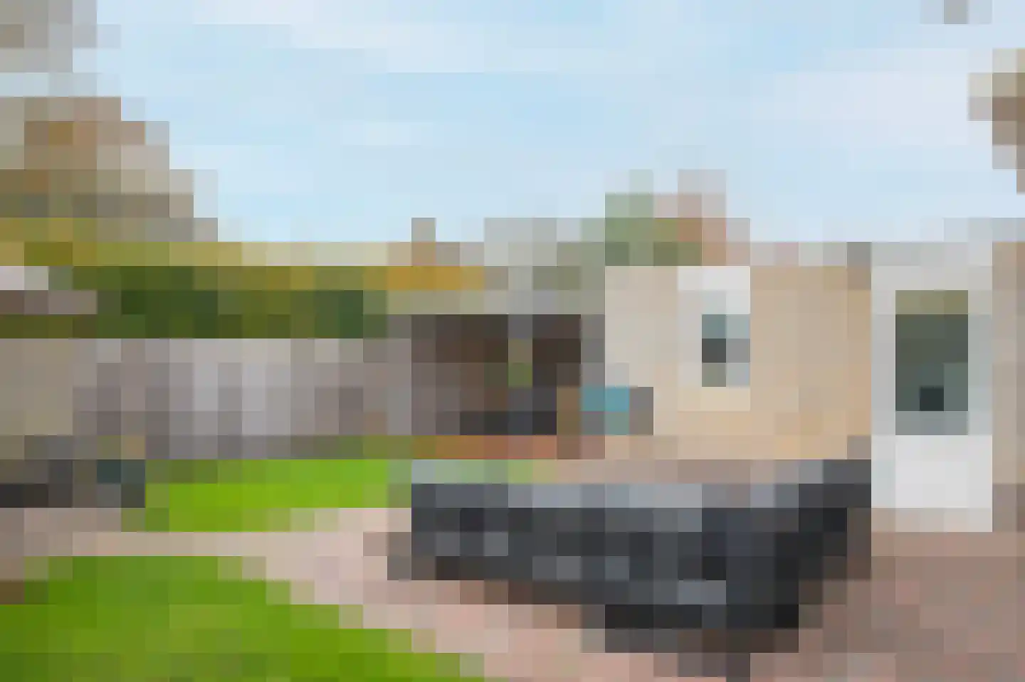 Smientmesschen 6 Assen thumbnail 48