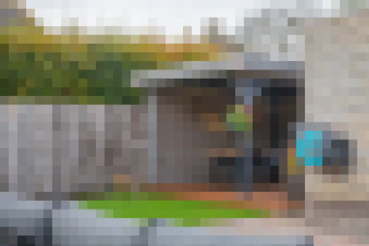 Smientmesschen 6 Assen thumbnail 50