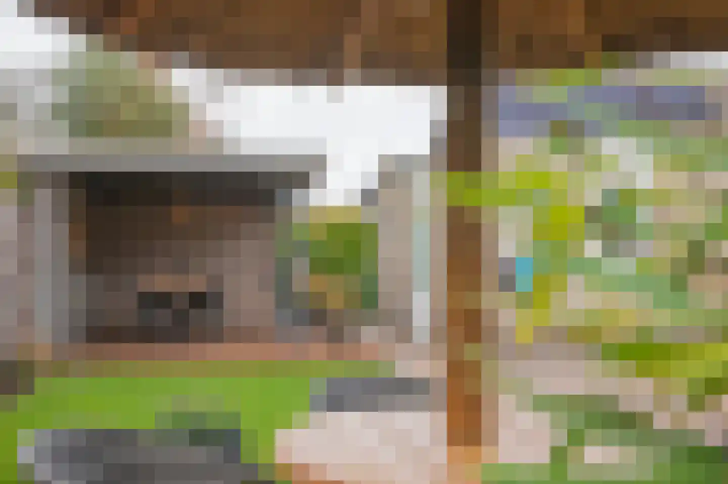 Smientmesschen 6 Assen thumbnail 53