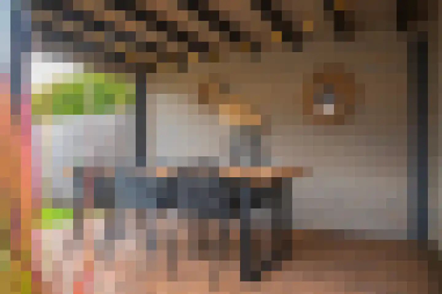 Smientmesschen 6 Assen thumbnail 55