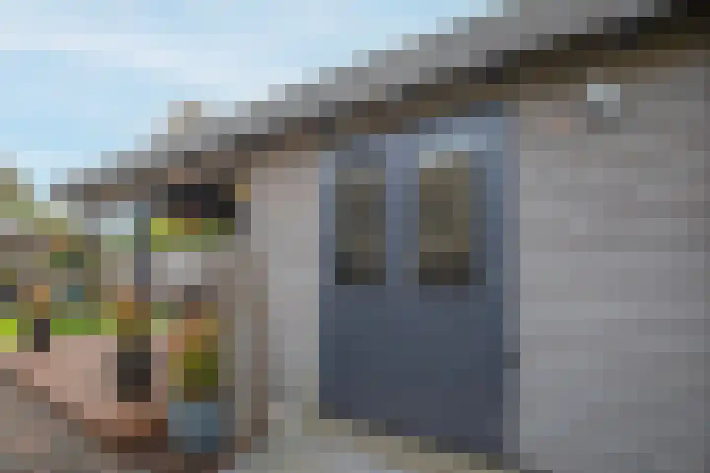 Smientmesschen 6 Assen thumbnail 58