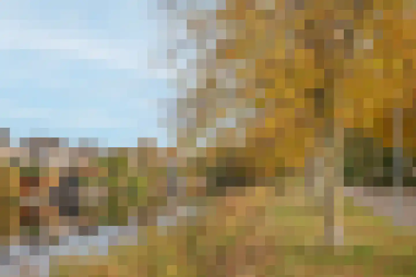 Smientmesschen 6 Assen thumbnail 60
