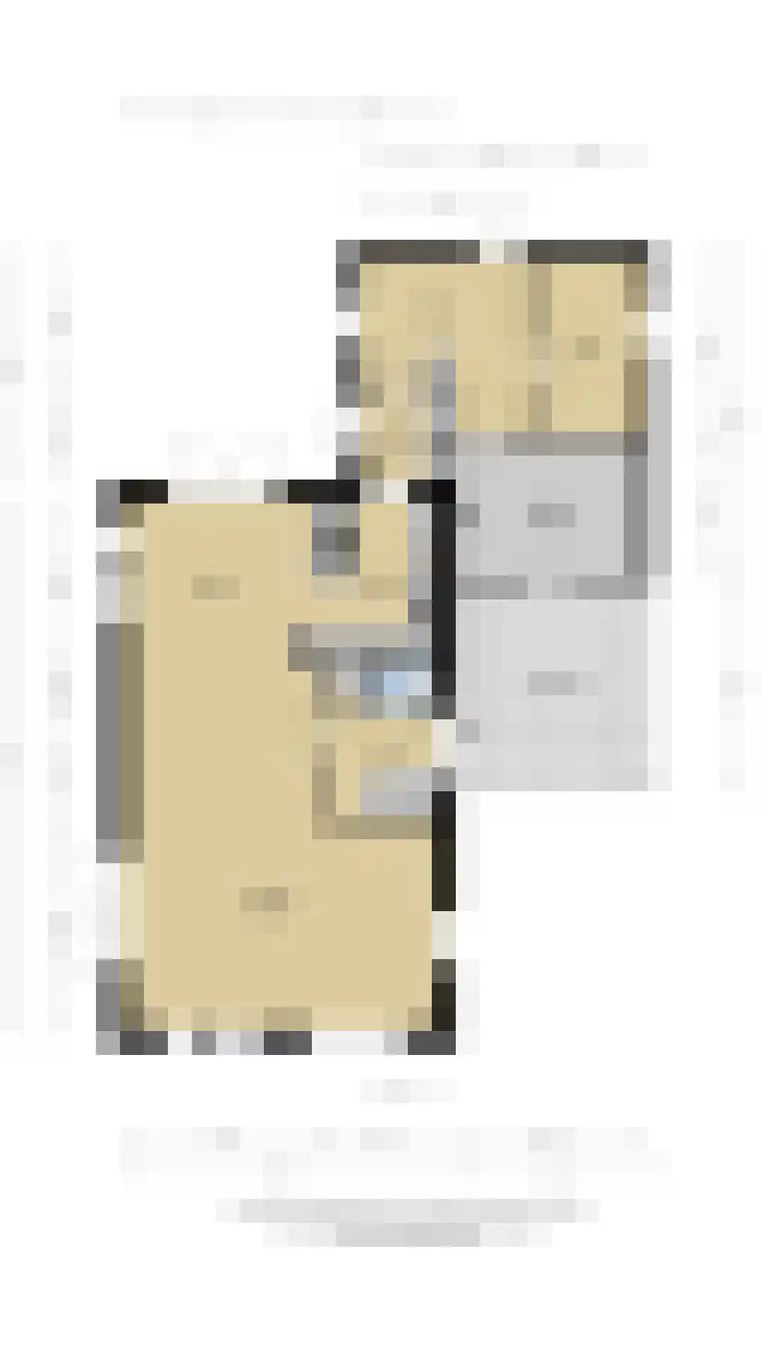 Smientmesschen 6 Assen thumbnail 61