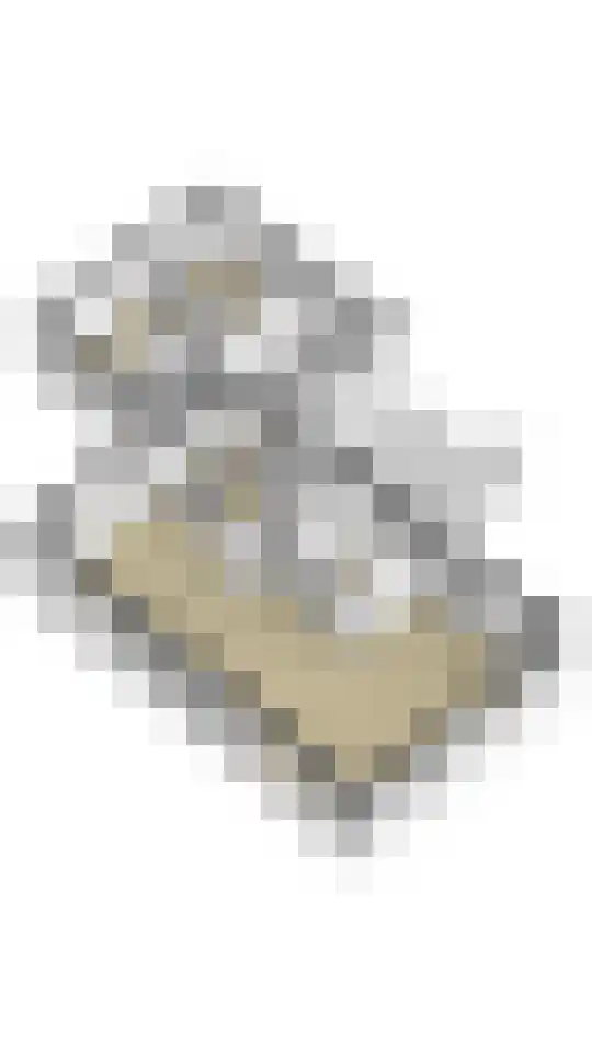 Smientmesschen 6 Assen thumbnail 65