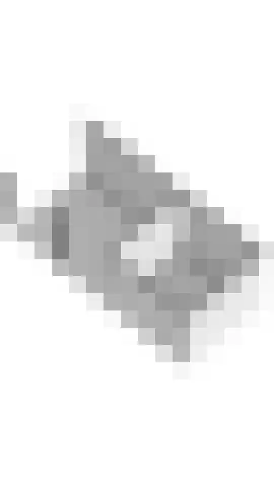 Smientmesschen 6 Assen thumbnail 68