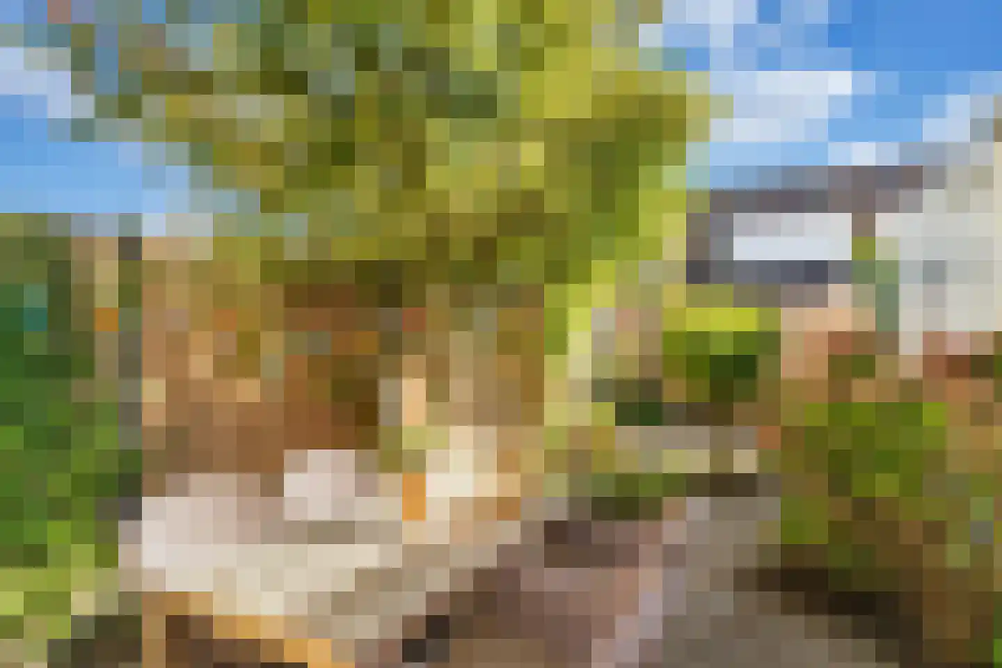 Smientstraat 16 in Den Haag