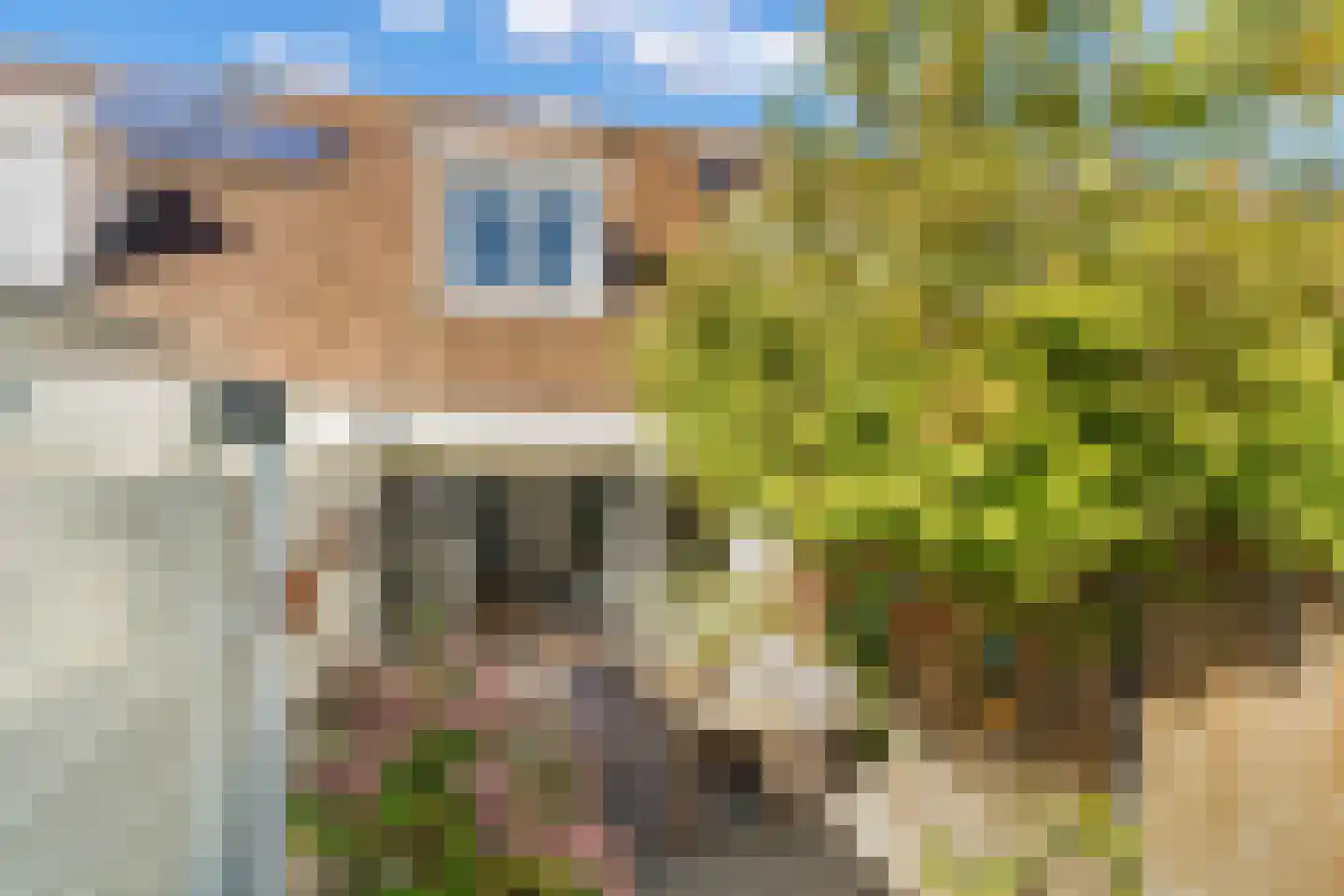 Smientstraat 16 Den Haag thumbnail 14