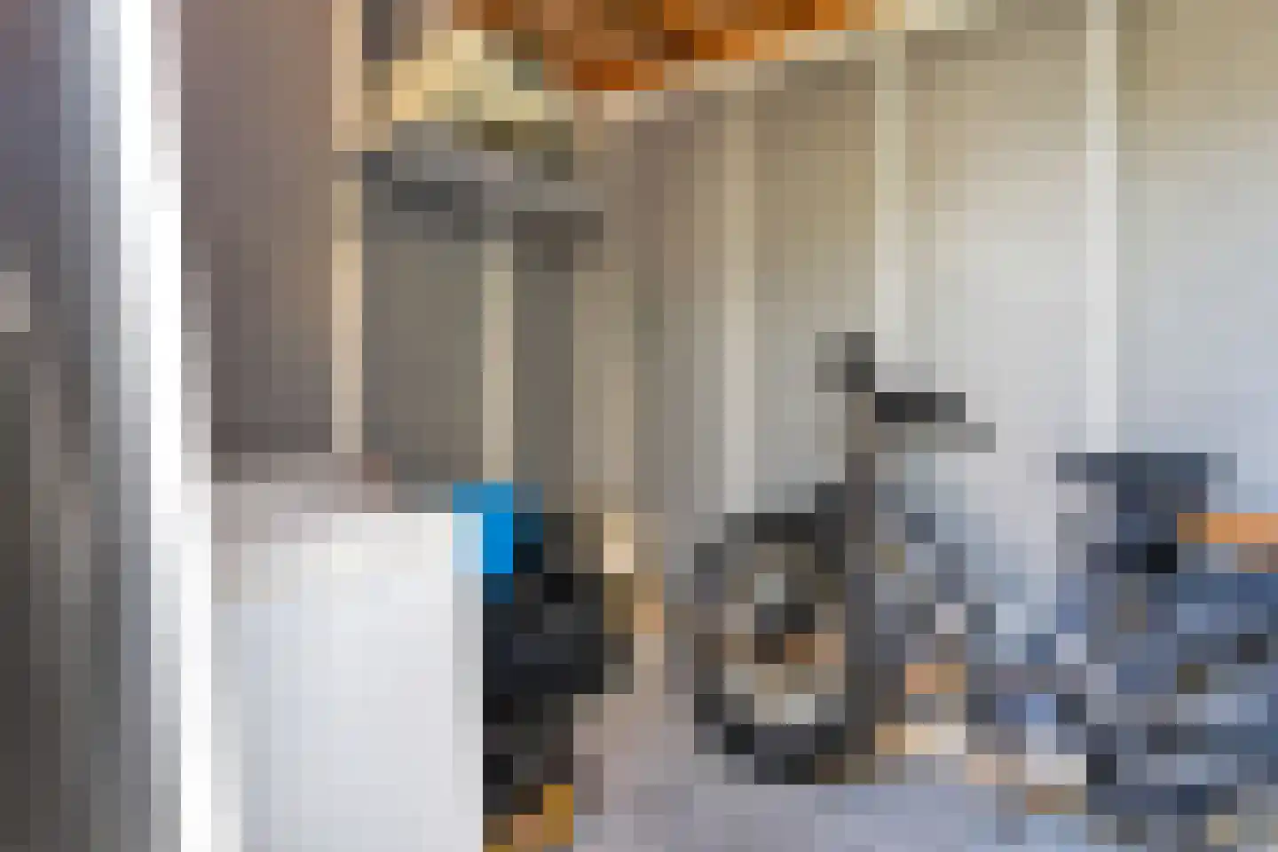 Smientstraat 16 Den Haag thumbnail 16