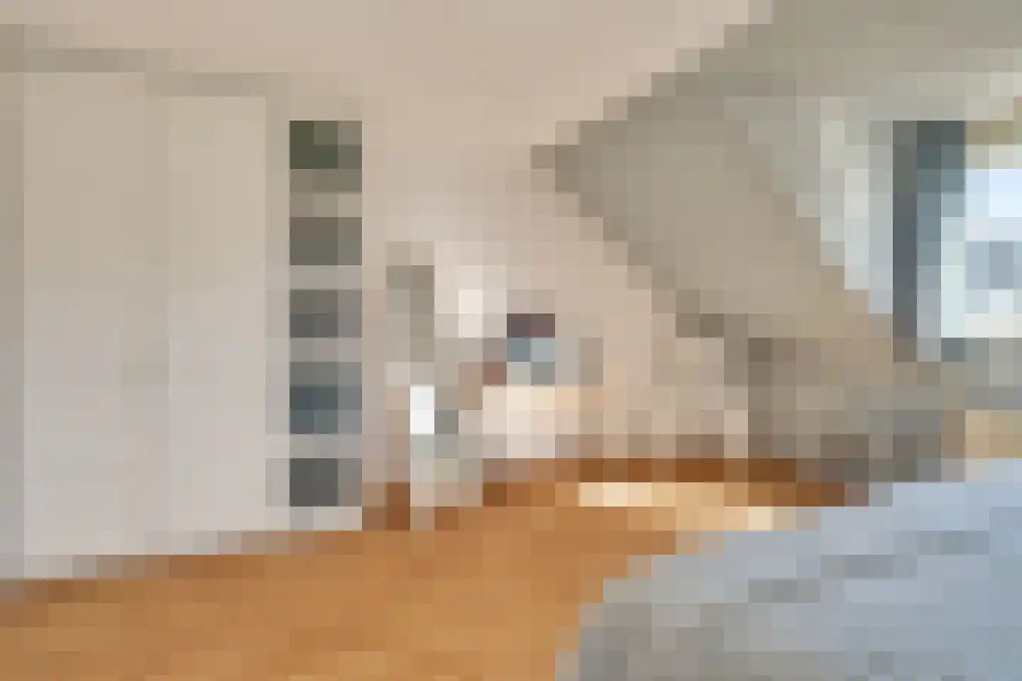 Smientstraat 16 Den Haag thumbnail 29