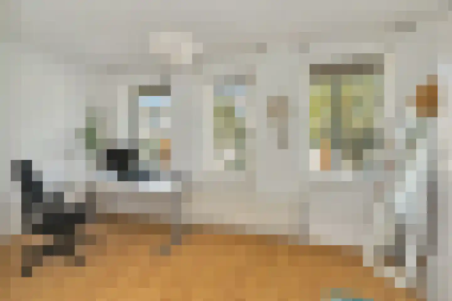 Smientstraat 16 Den Haag thumbnail 32