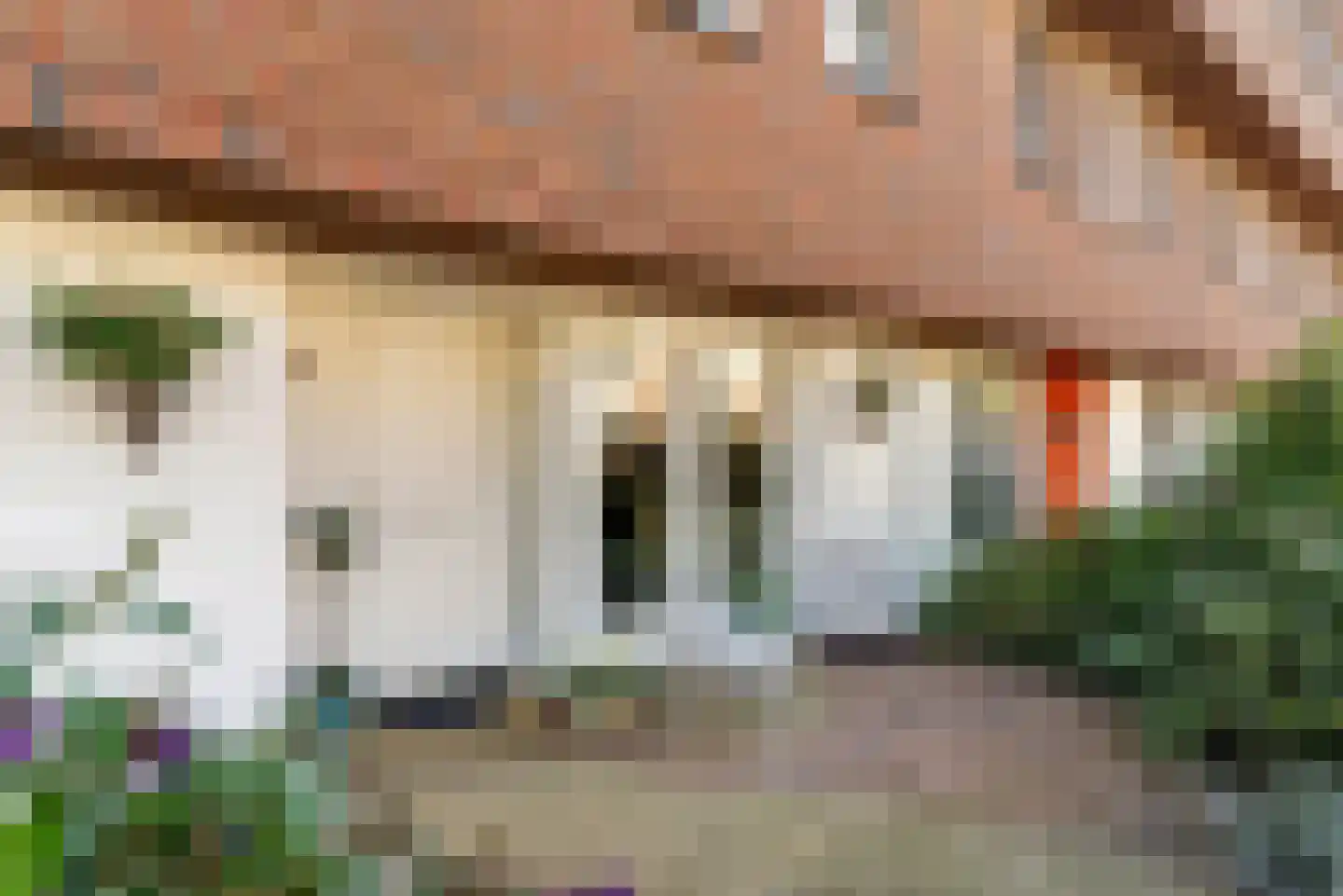 Smientstraat 16 Den Haag thumbnail 7